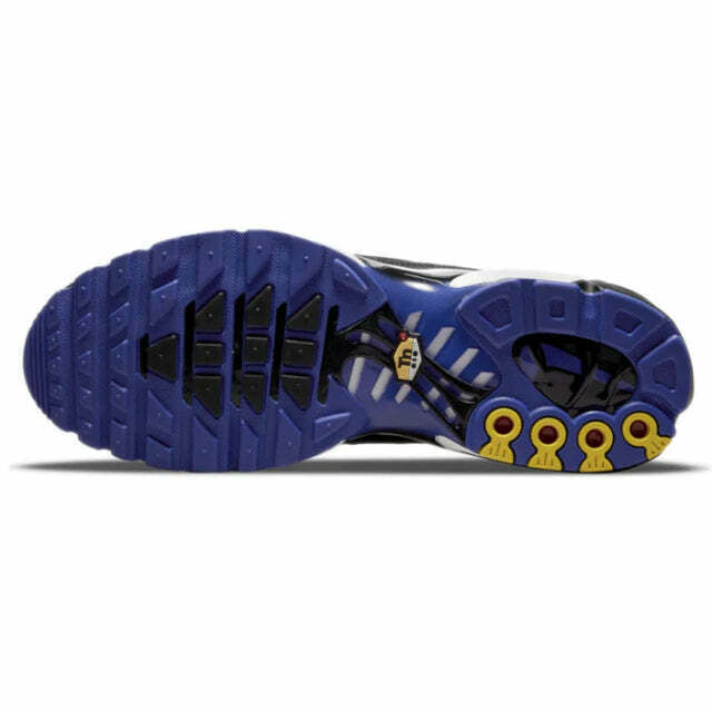 Air Max Plus Tn 1 “Persian Violet”