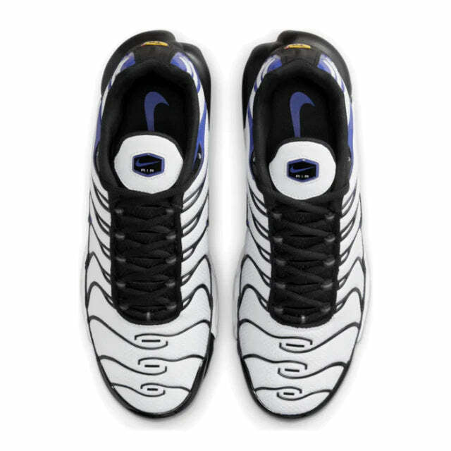 Air Max Plus Tn 1 “Persian Violet”