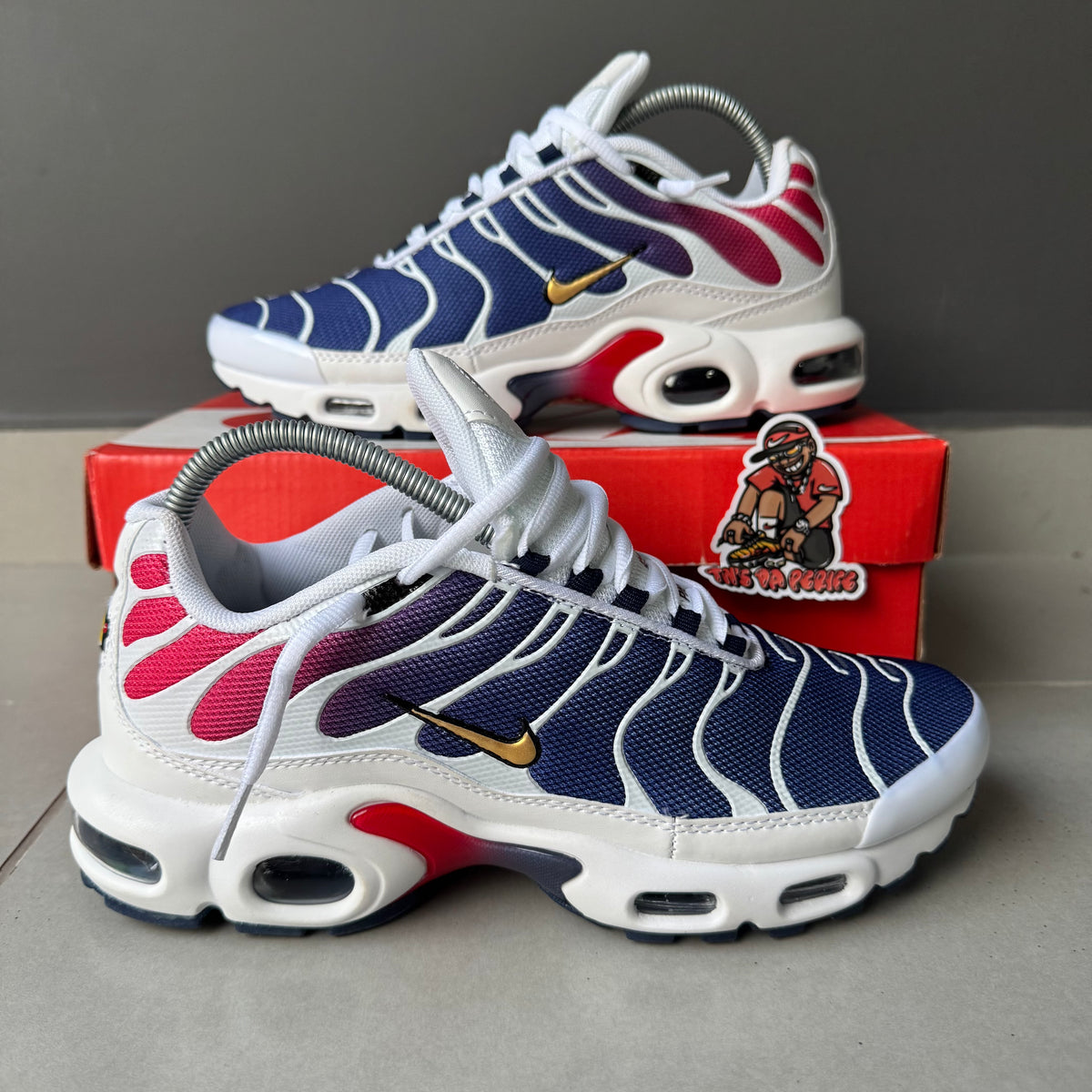 Air Max Plus Tn 1 “Psg”