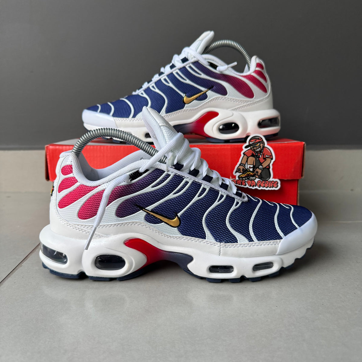 Air Max Plus Tn 1 “Psg”