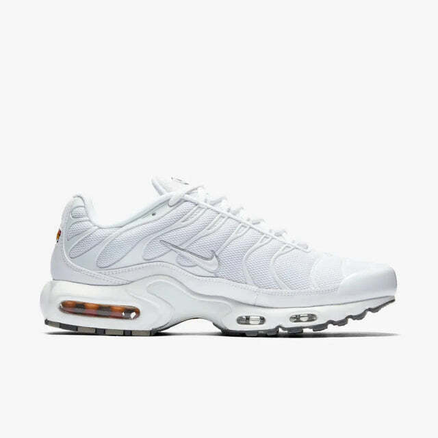 Air Max Plus Tn 1 “Triple White”