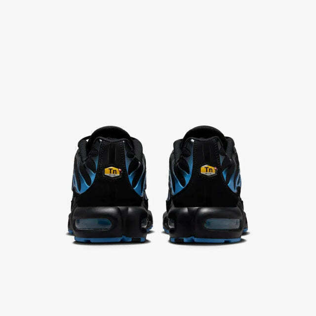 Air Max Plus Tn 1 “Black University”