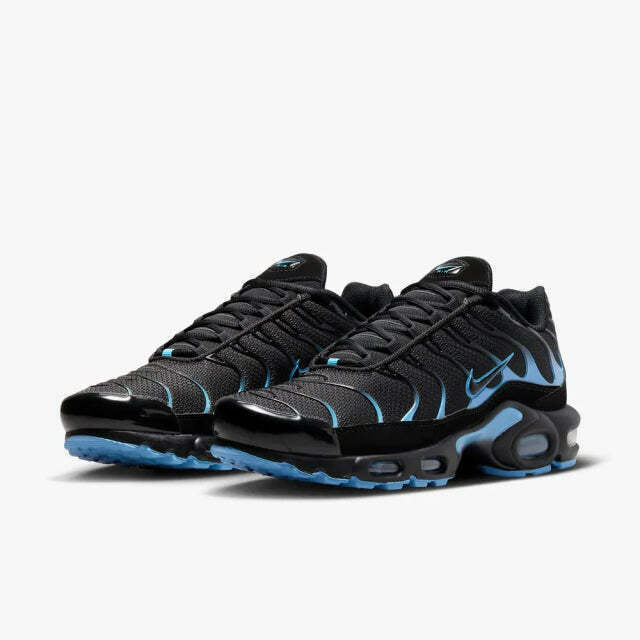 Air Max Plus Tn 1 “Black University”