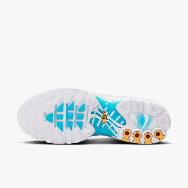 Air Max Plus Tn 1 “Marseille”