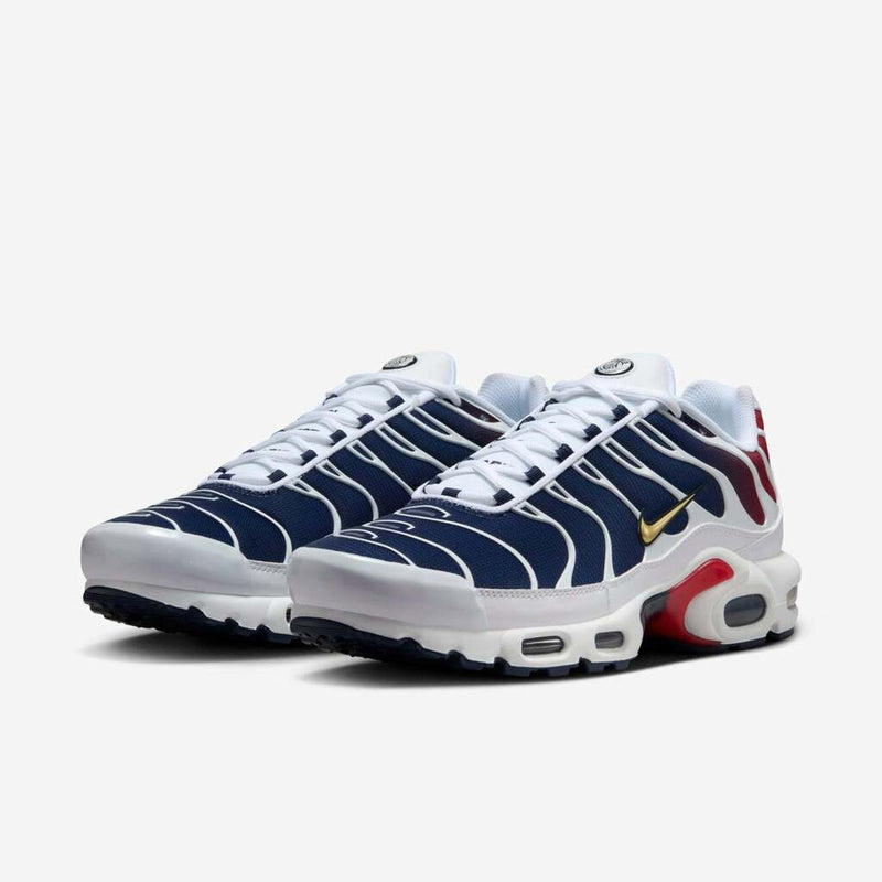 Air Max Plus Tn 1 “Psg”