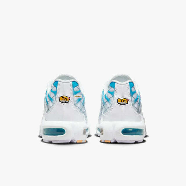 Air Max Plus Tn 1 “Marseille”