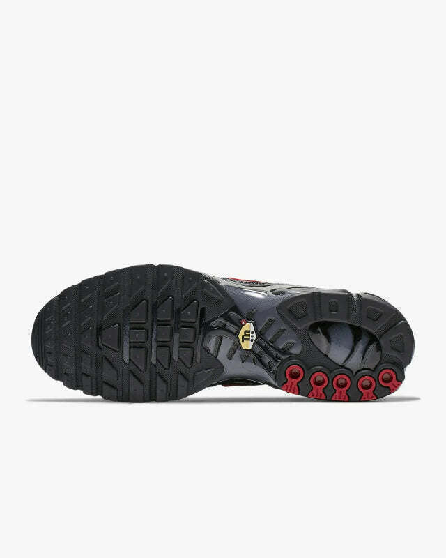 Air Max Plus Tn 1 “Drácula”