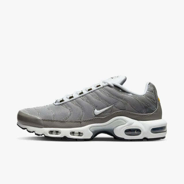 Air Max Plus Tn 1 “Flat Pewter”