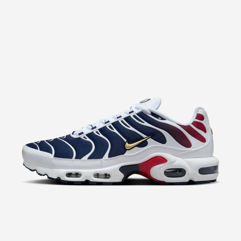 Air Max Plus Tn 1 “Psg”