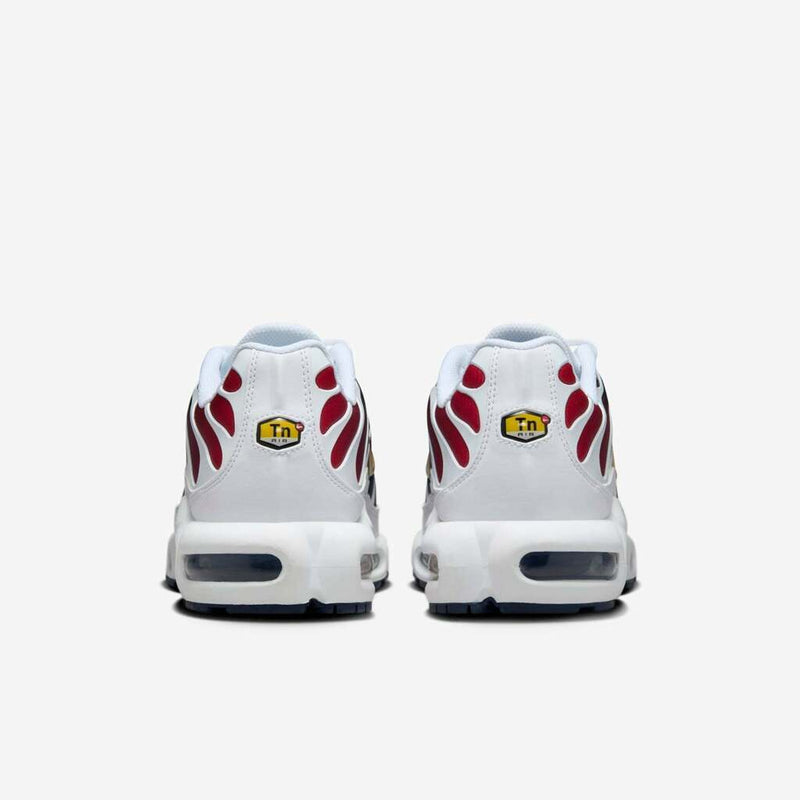 Air Max Plus Tn 1 “Psg”