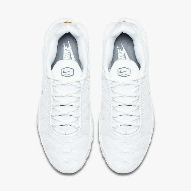 Air Max Plus Tn 1 “Triple White”