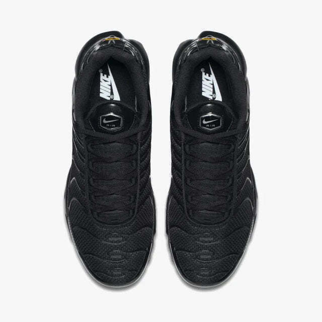 Air Max Plus Tn 1 “Triple Black”