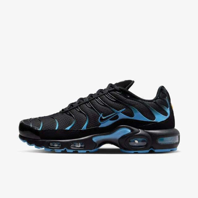 Air Max Plus Tn 1 “Black University”