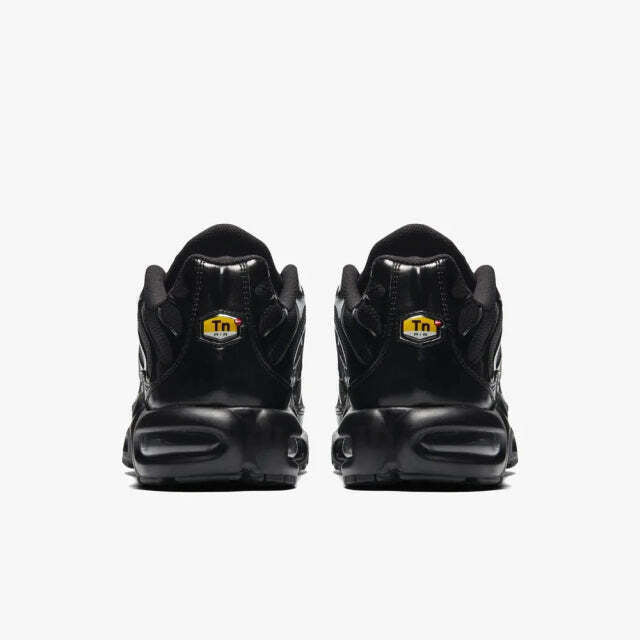 Air Max Plus Tn 1 “Triple Black”