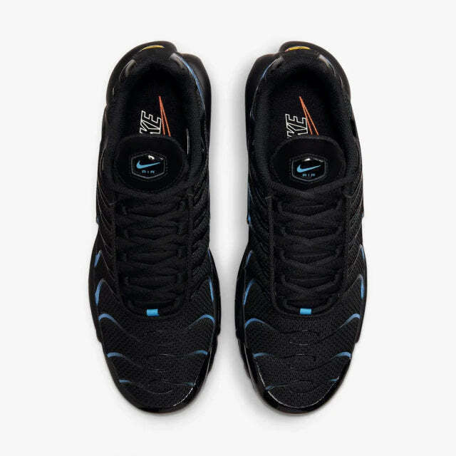 Air Max Plus Tn 1 “Black University”