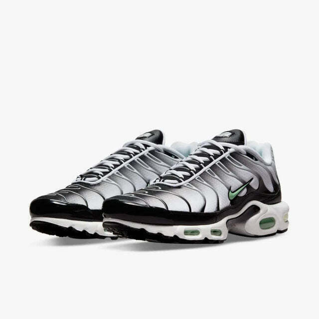 Air Max Plus Tn 1 “Seafoan”