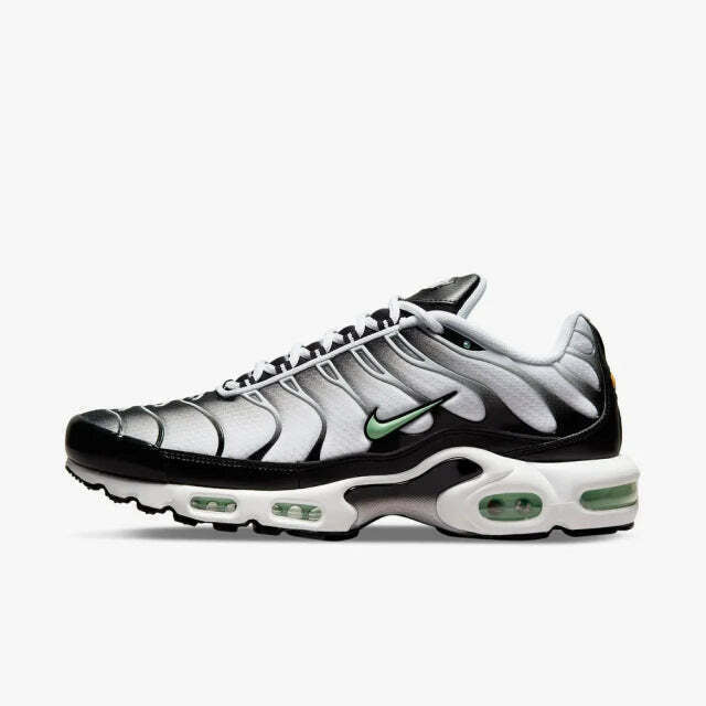 Air Max Plus Tn 1 “Seafoan”