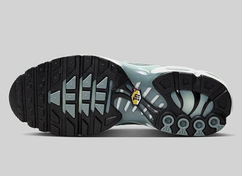 Air Max Plus Tn 1 “Shark”