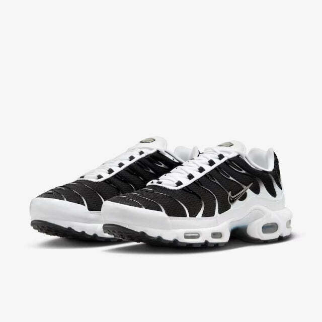 Air Max Plus Tn 1 “Killer Whale”