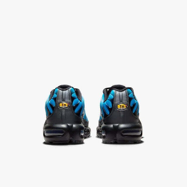 Air Max Plus Tn 1 “Blue Gradient”