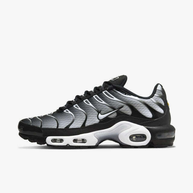 Air Max Tn 1 “Black Metalic”