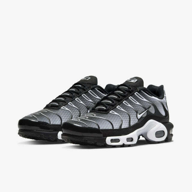 Air Max Tn 1 “Black Metalic”