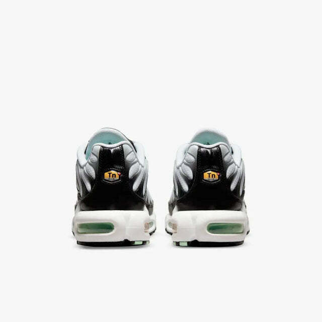 Air Max Plus Tn 1 “Seafoan”